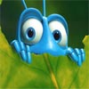 Find Bugs game